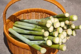 “宝藏零食”熟了，这款“活饮料”今年你尝了吗？图片