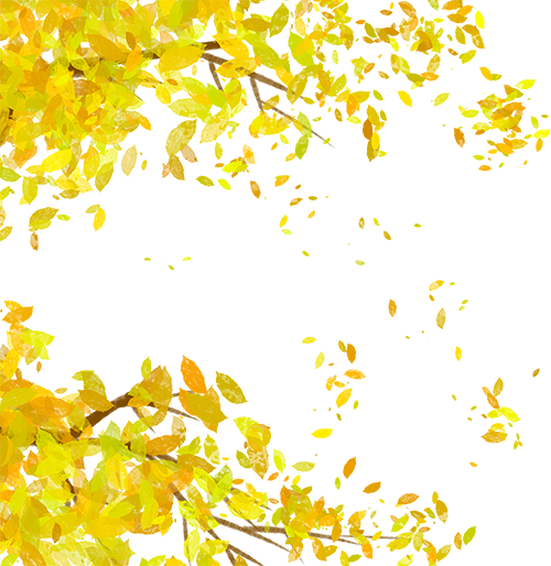 落叶基础，不“扫”兴的余杭就不基础