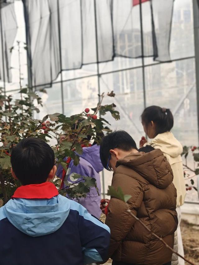 游玩、体验、美食、购物…一站式玩转→