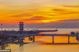 江苏泗洪：洪泽湖滞洪区冬景如画图片
