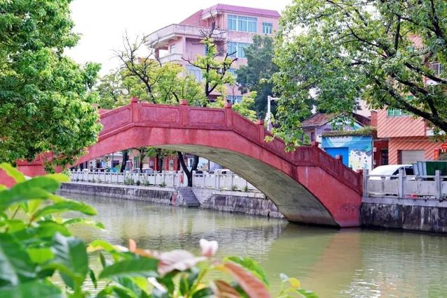 萌物来袭，“喜洋洋”和“乐融融”玩转望牛墩！