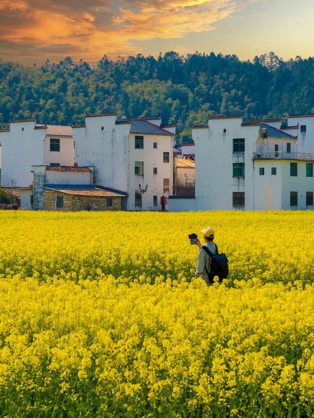 2026来江西，春夏秋冬都有趣！