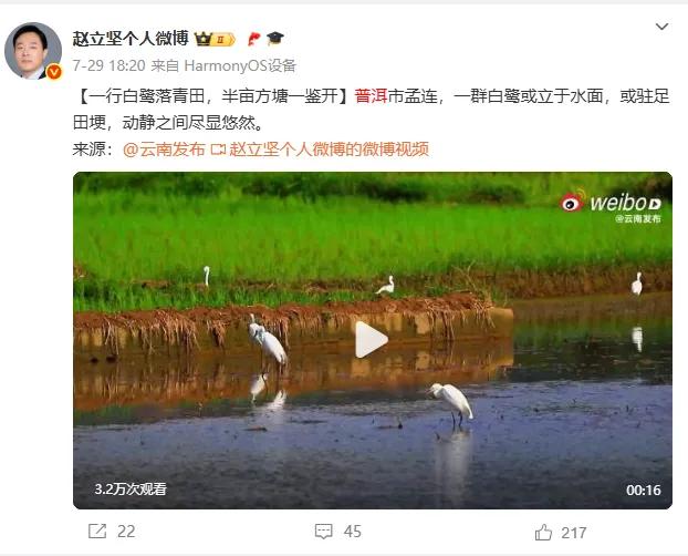 赵立坚在线“打Call”!夏日避暑云南赢麻了