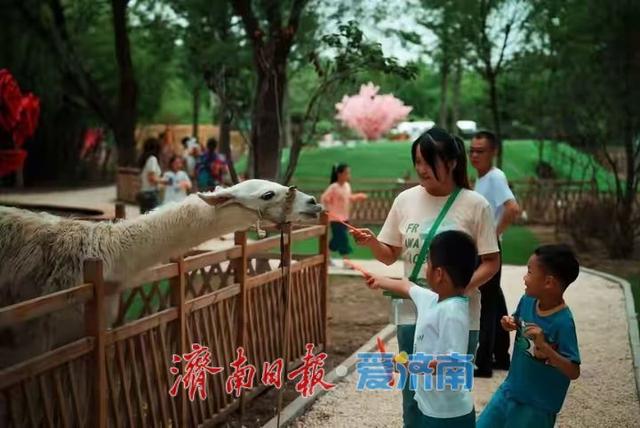 济南鲜花港“金秋游园会”国庆开启