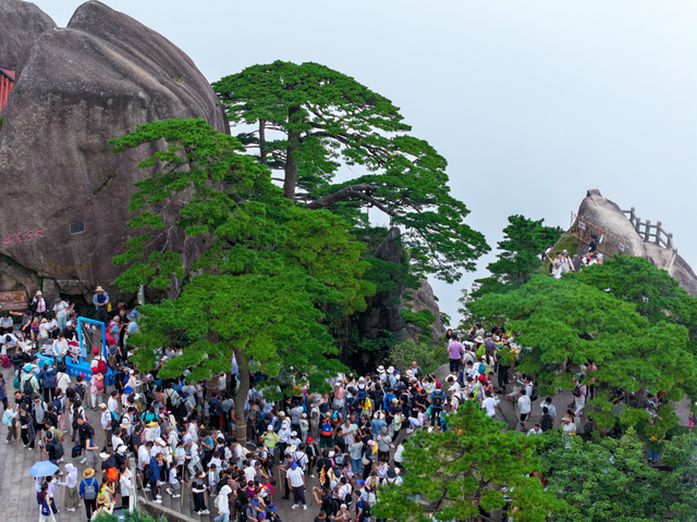 【早安，黄山】黄山市文化和旅游深度融合发展座谈会·新安茶会召开 ‖ 2025黄山马拉松赛事将于11月30日举行