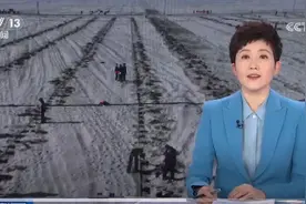 【甘快看】甘肃民勤压沙植树今年预计治沙2000余亩图片