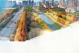 改革开放的河南实践之驻马店篇丨驻立潮头 风起帆张图片