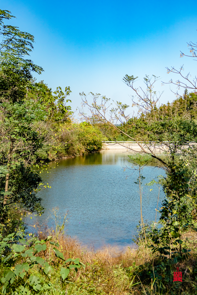 抓住晴天尾巴，徒步青龙山！