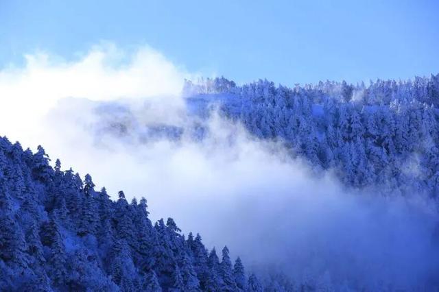 一键收藏！卾冬最全滑雪攻略