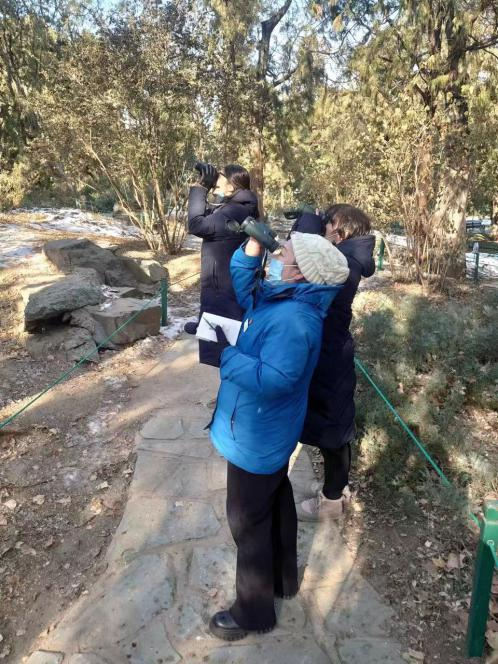 解锁中山公园“生态彩蛋”！守护“古树飞鸟”百年文脉