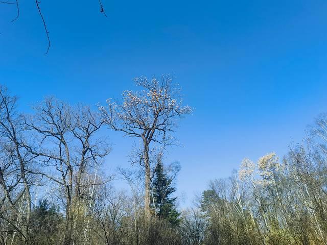 走进延边：长白山天池、延吉、图们、珲春行记