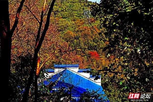怀化中坡山，层林尽染的氧吧，市民天天逛、摄影家追着拍