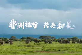 “精彩非洲”——多哥的人文风情、文化遗产图片