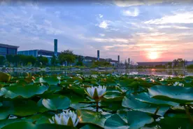 奔“县”山东，这里是阿井畔胶香飘的东阿！图片