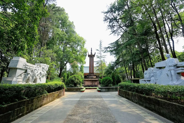 包出片的~城厢古城桂花打卡计划，走起→
