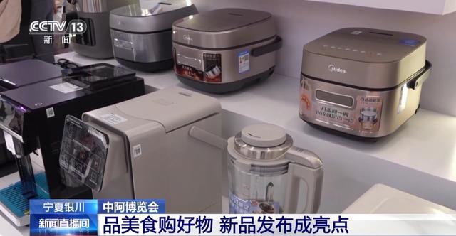 蔬菜大棚搬进展厅 机器人大厨作美食 这届中阿博览会不要太好玩