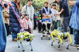 智能机器狗亮相贵阳黔灵山公园图片