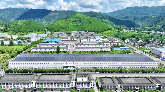 从深山到湾区：东西部协作激活梵净山下的N种可能
