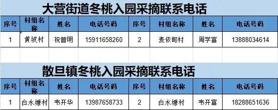 熟了熟了！周末走起！昆明采摘地图“上新”，速来eat→