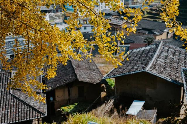 此刻，闽侯的“含金量”还在不断上升！