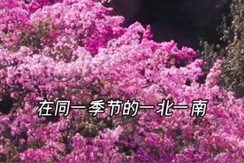 秀我中国丨一到冬天 便感受到祖国的辽阔图片