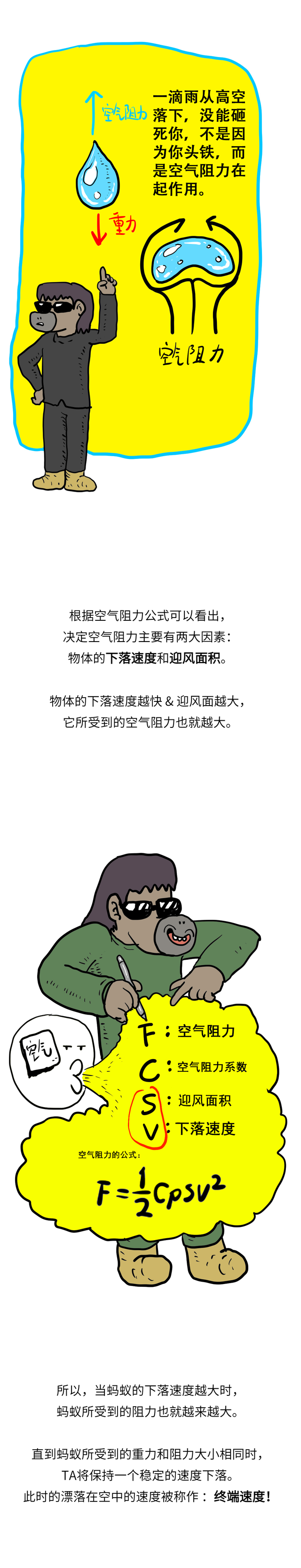 假如蚂蚁从飞机上掉下，不会摔死吗？
