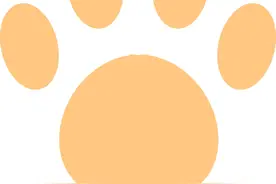 铲屎官们：关于文明养犬，这些法律锦囊请收好！图片