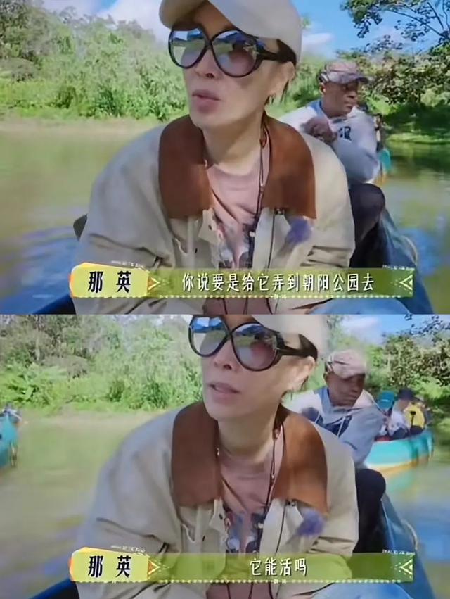 《花少7》好看那英功不可没