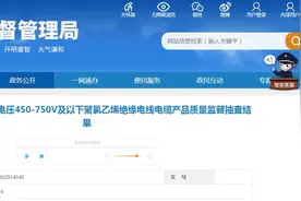 2024年上海市额定电压450-750V及以下聚氯乙烯绝缘电线电缆产品质量监督抽查结果公布图片