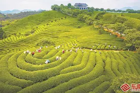 深读 | 漳平台创园：是创业热土，更是温暖“家园”图片