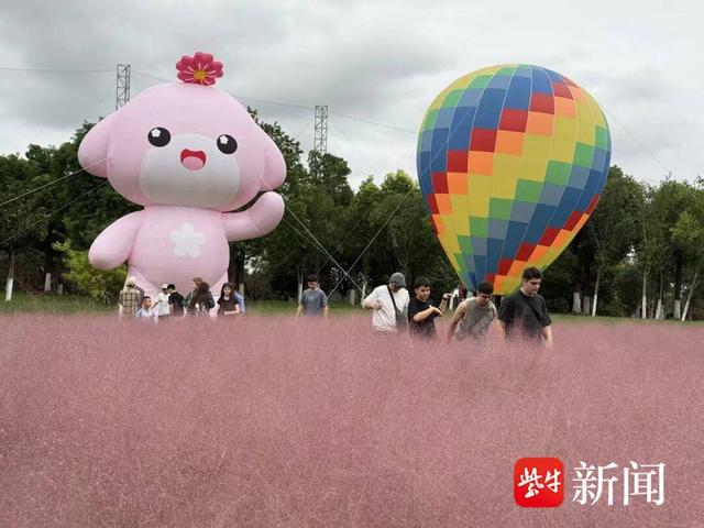 8天吸金13.65亿元！国庆中秋双节盐城文旅市场红火沸腾