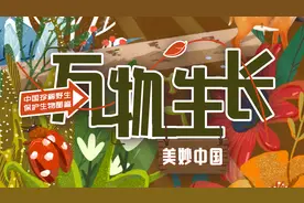 万物生长｜今日秋分图片