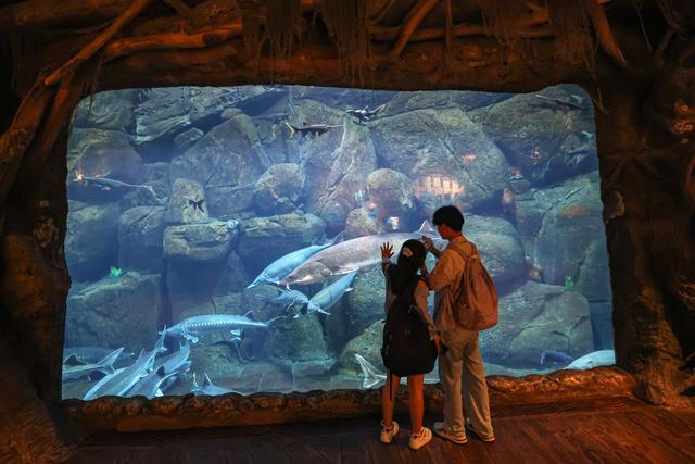 中秋遇国庆 银基度假区多场景活动邀您共赴文旅盛宴