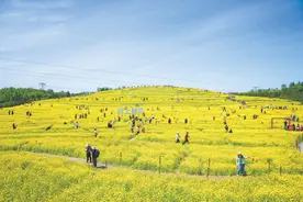 在北京这座“千园之城”：公园里装着都市生活下半场图片