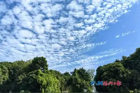 -5℃！14日起，福建大降温！图片