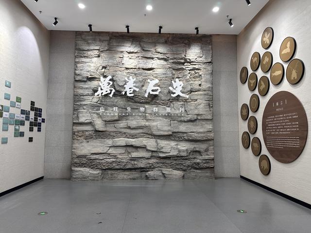 引假日文旅热潮 县域博物馆的破圈密码