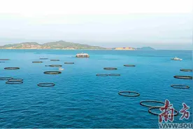 改革开路 加力提速图片