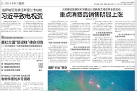 平湖经开区变土地存量为发展增量 1幢厂房1年税收1亿元图片