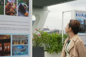 纪念海口商会成立120周年图片展启幕——传承海商精神 新时代 再出发图片