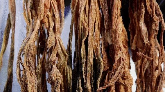 原来泸定不止泸定桥！4天深度游挖到宝了