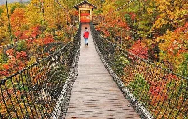 2025保康秋游季，邀您共赏山色如画