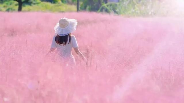 崇明秋色，坠入一场温柔的五彩梦境