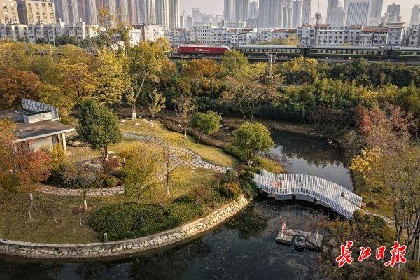 藏在公园里的浪漫栈道