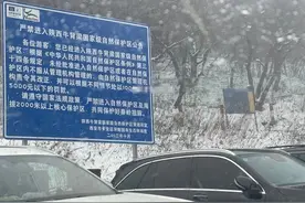 西安这里下雪了！注意：明日将增强！陕西最新预警→图片