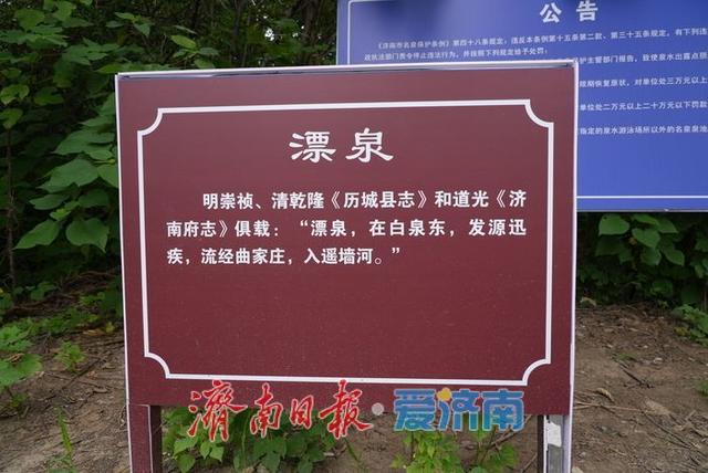 一年四季 泉在济南丨济南鲍山“漂泉”完成便民改造，古泉焕新迎客来