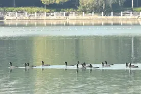 冷空气即将抵达广西！还有降雨+大风图片