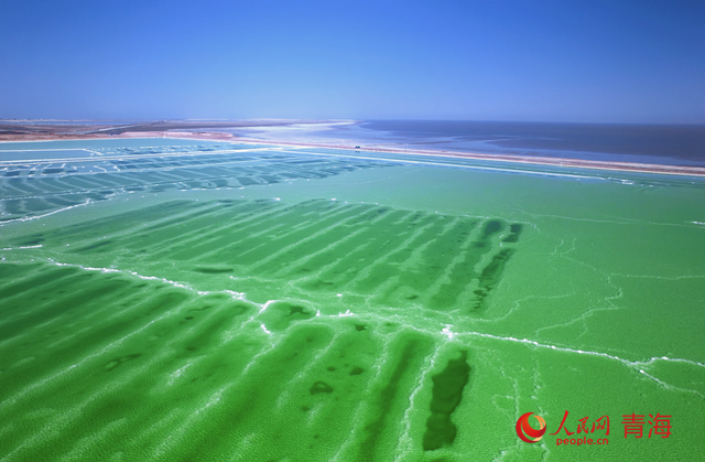 在察尔汗盐湖 赴一场冬日之旅