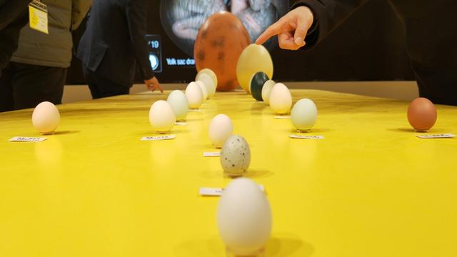 亲手喂牛宝贝、白酒厂可自调酒，魔都工业旅游太超前！