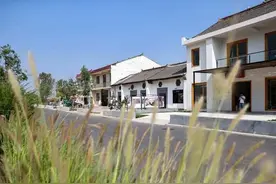 多元产业 绘就和美乡村“实景图”图片