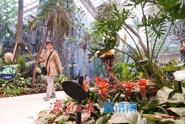 鹊华中新园特色景观引游人争相打卡